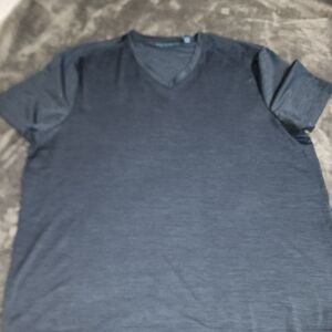 Men's Blue V-Neck T-Shirt